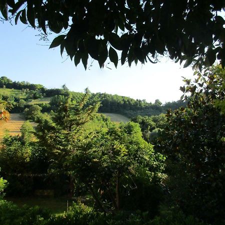 B&B Carboni Penna San Giovanni 外观 照片