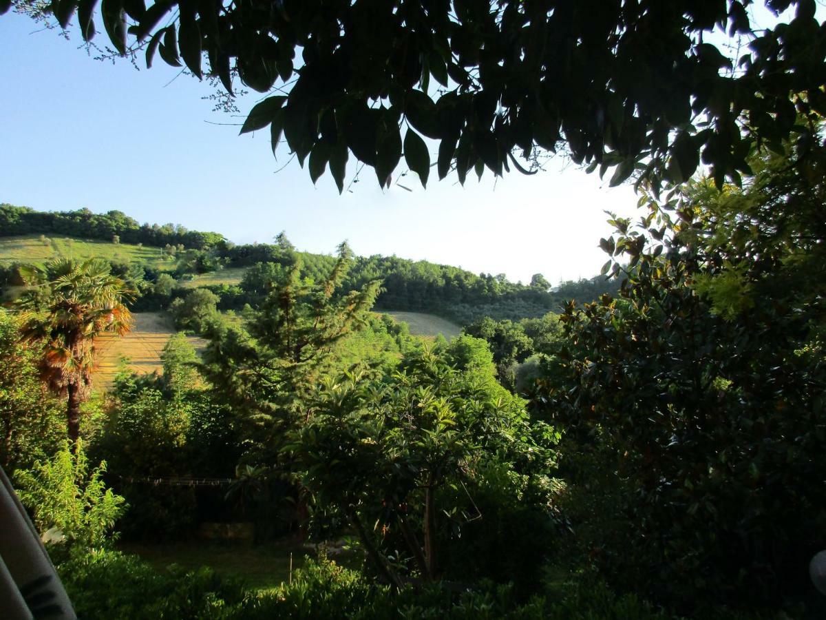B&B Carboni Penna San Giovanni 外观 照片