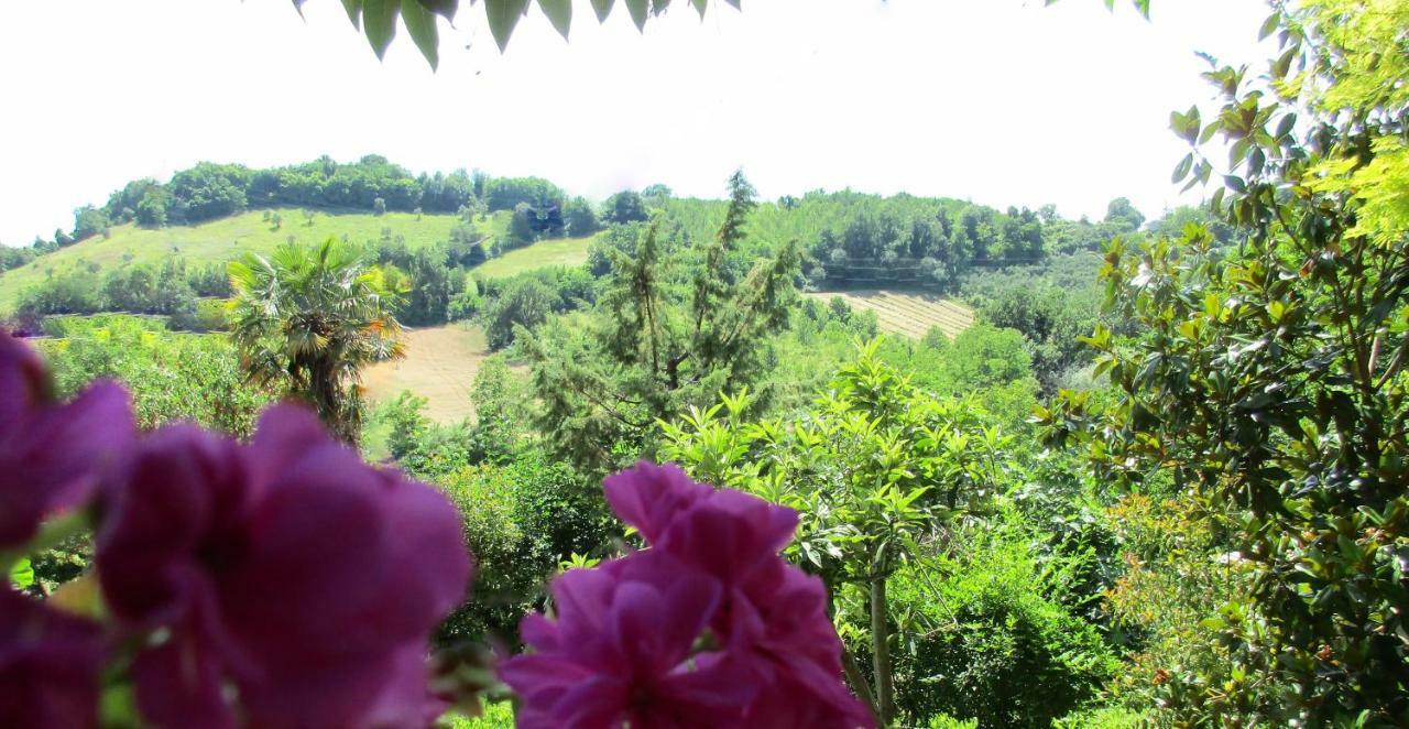 B&B Carboni Penna San Giovanni 外观 照片
