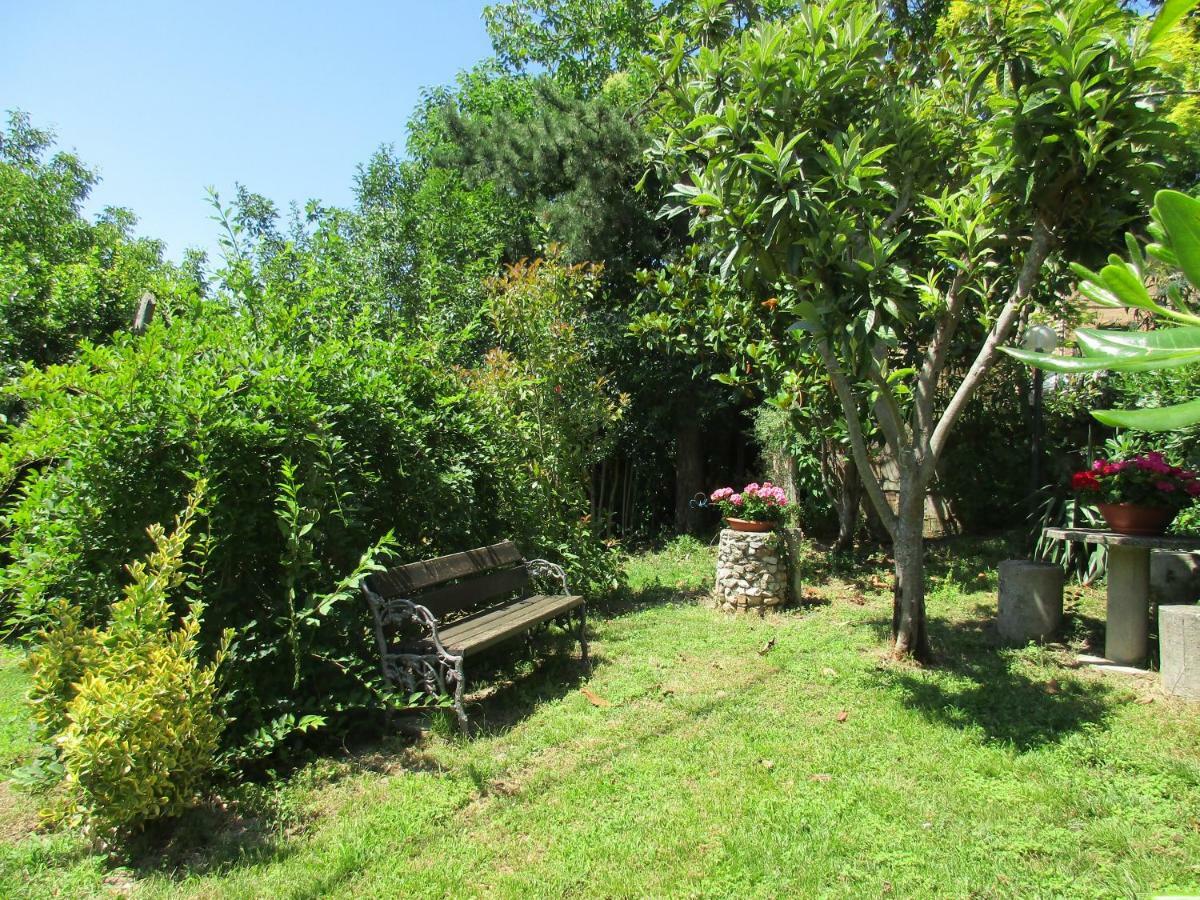 B&B Carboni Penna San Giovanni 外观 照片