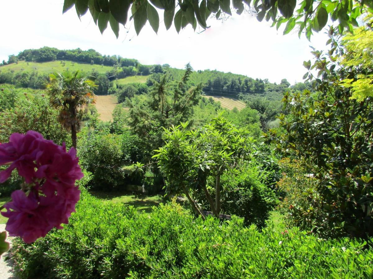 B&B Carboni Penna San Giovanni 外观 照片