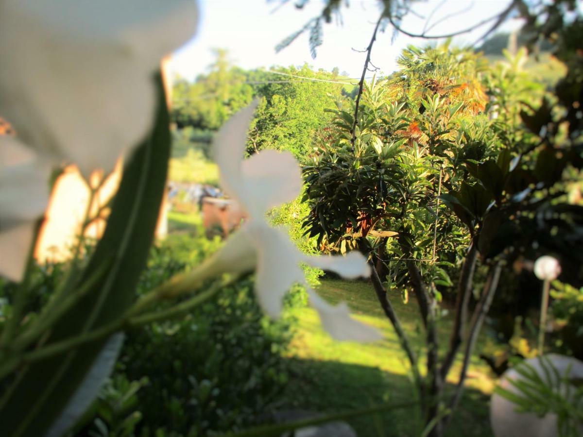 B&B Carboni Penna San Giovanni 外观 照片