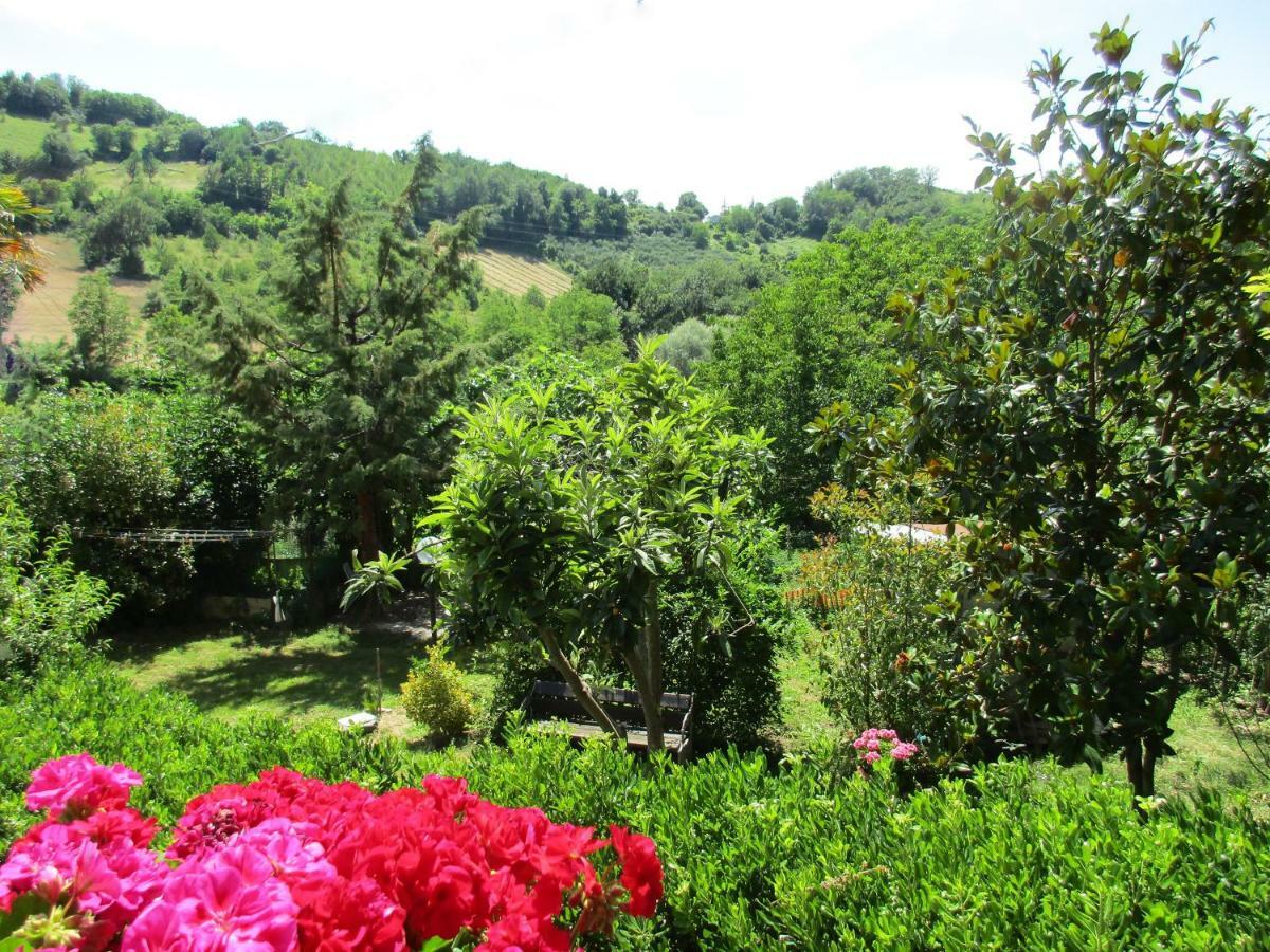 B&B Carboni Penna San Giovanni 外观 照片